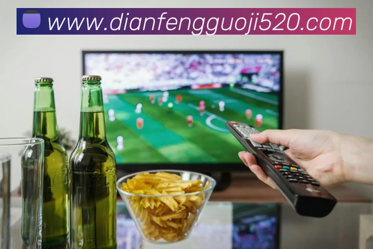 巅峰国际发展历程